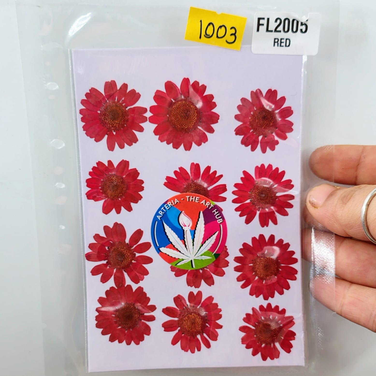 Pressed Daisies- red
