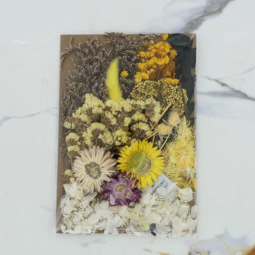 3D Dry Flower Packet N