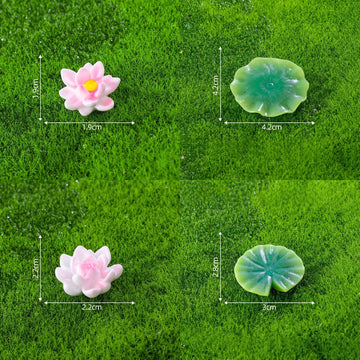 Miniature Lotus Lily Pads