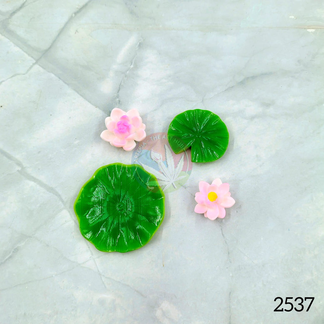 Miniature Lotus Lily Pads