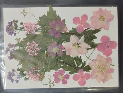 Picture of Pressed Flowers- 23