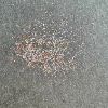 Picture of Holographic Glitter – Grey Fine