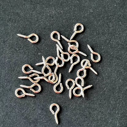 Picture of Eye Screws- Silver Small