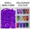 Picture of HOLOGRAPHIC SHELL  GLITTER SET OF 12