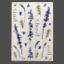 Picture of Floral Stickers  - D