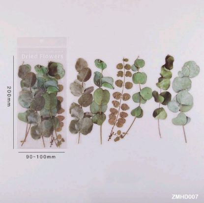 Picture of Transparent Insert Cutouts- Leaves