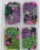 Picture of 3D Moss Box Random Colour