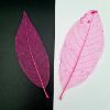 Picture of Small Mangolia Leaf Multi Colour