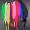 Picture of Multicolour Mini Feathers- Hard