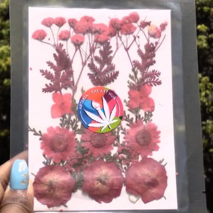 Picture of Pressed Flowers- 1136