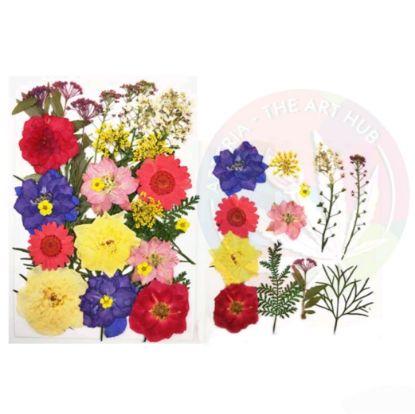 Picture of Pressed Flowers- 1059