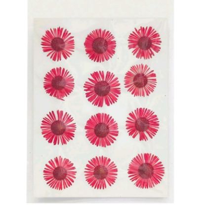 Picture of Pressed Asters- Red
