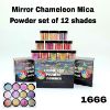 Picture of Mirror Chameleon Mica Powder set of 12 shades