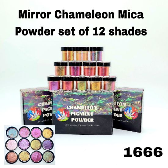 Picture of Mirror Chameleon Mica Powder set of 12 shades