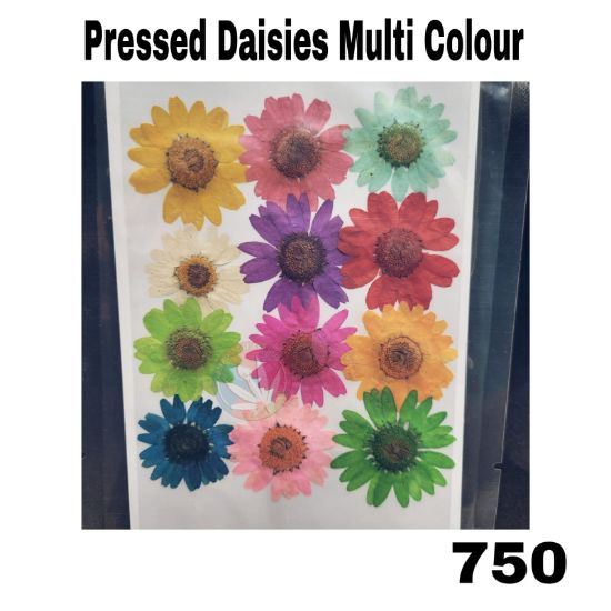 Picture of Pressed Daisies- Multicolour