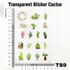 Picture of Transparent Stickers Cactus