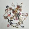 Picture of Transparent Sticker Cutouts- Flowers