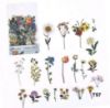 Picture of Transparent Sticker Cutouts- Flowers