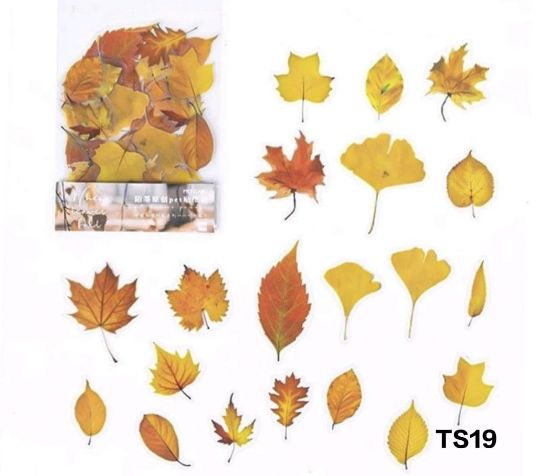 Picture of Transparent Sticker Cutouts- Colours of Fall