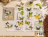 Picture of Transparent Sticker Cutouts-Butterfly Forest- Green