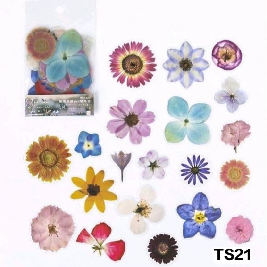 Arteria. Transparent Sticker Cutouts- Flowers