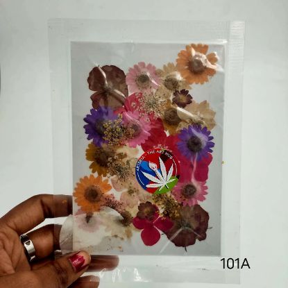 Picture of Pressed Flowers- 101A