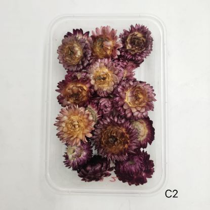 Picture of 3D Dry Flower Box -C2