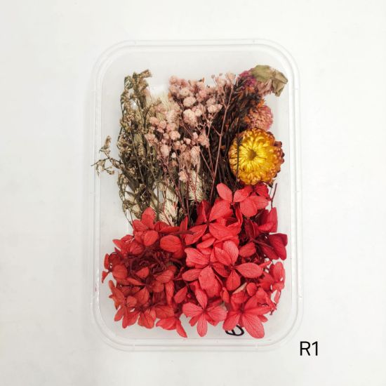 Picture of 3D Dry Flower Box - R1