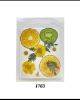 Picture of Pressed Fruit & Flower-1