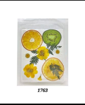 Picture of Pressed Fruit & Flower-1
