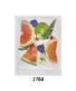 Picture of Pressed Fruit & Flower 2