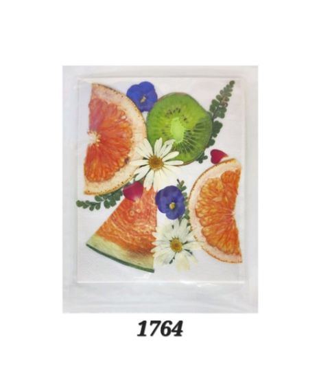 Picture of Pressed Fruit & Flower 2