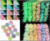 Picture of Glow in the dark glitters - set of 12