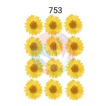 Picture of Pressed Daisies- yellow