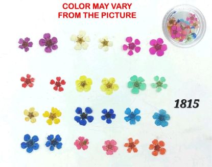 Picture of 24pcs Multi plum blossom pressed flowers