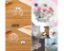 Picture of Small Glass Globe Charm With Golden Cap (10 pcs)