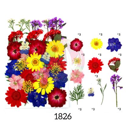 Picture of 33 In 1 Pressed Flower