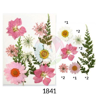 Picture of 10 IN 1 Pressed Flower- Pink