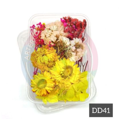 Picture of 3D Dry Flower Box -DD41