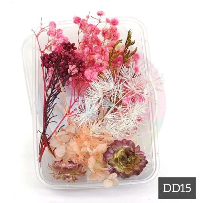Picture of 3D Dry Flower Box -DD15