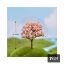 Picture of Miniature Pink flower tree