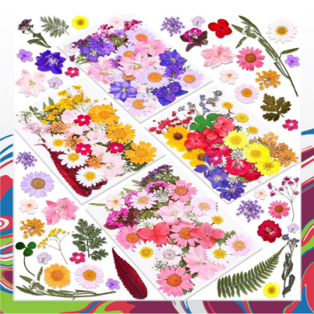 Picture for category Pressed Flowers