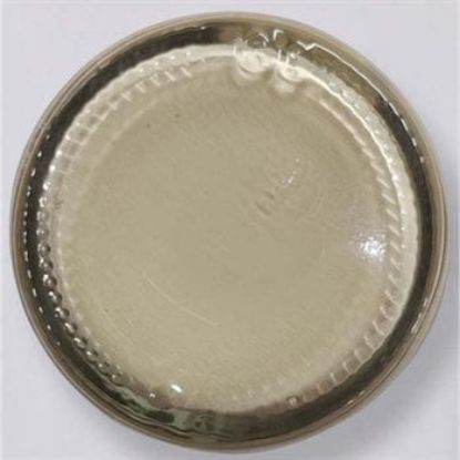 Picture of Ivory Opaque Pigment 