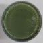 Picture of Olive Green Opaque Pigment