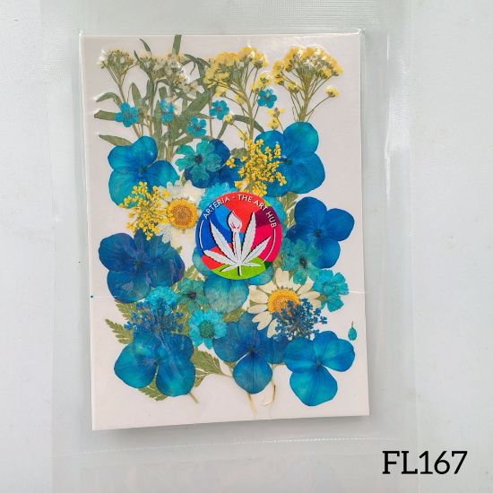 Picture of 30 IN 1 Pressed Flower FL167