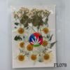 Picture of 30 IN 1 Pressed Flower FL078