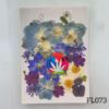 Picture of 30 IN 1 Pressed Flower FL073