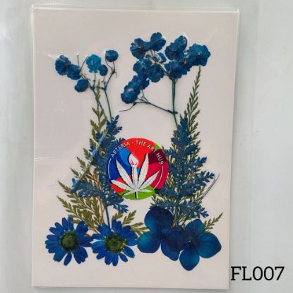 Picture of 30 IN 1 Pressed Flower FL007