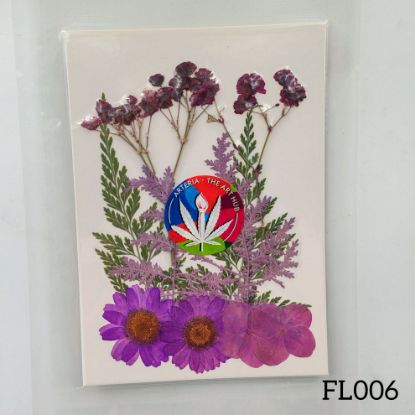 Picture of 30 IN 1 Pressed Flower FL006