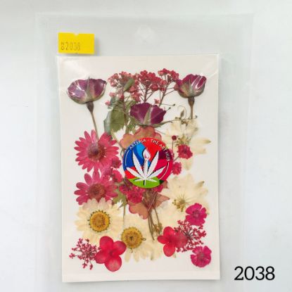 Picture of 25 in 1 Pressed Flower 5